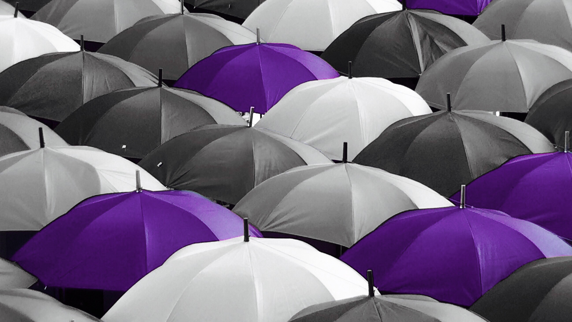 Access Financial: how to choose an international umbrella company