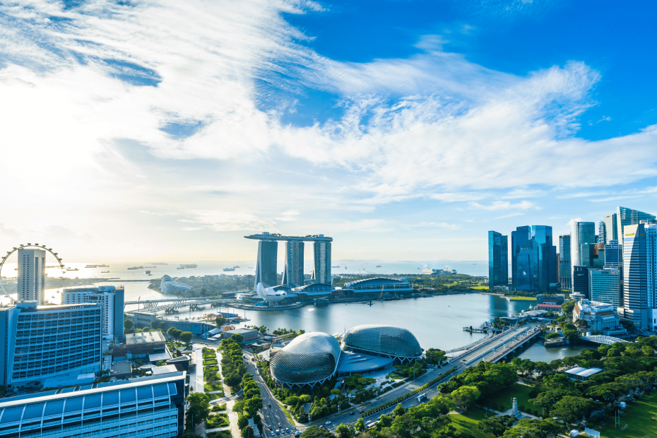 Access Financial: Immigration and Visa Regulations for Employees/Contractors in Singapore
