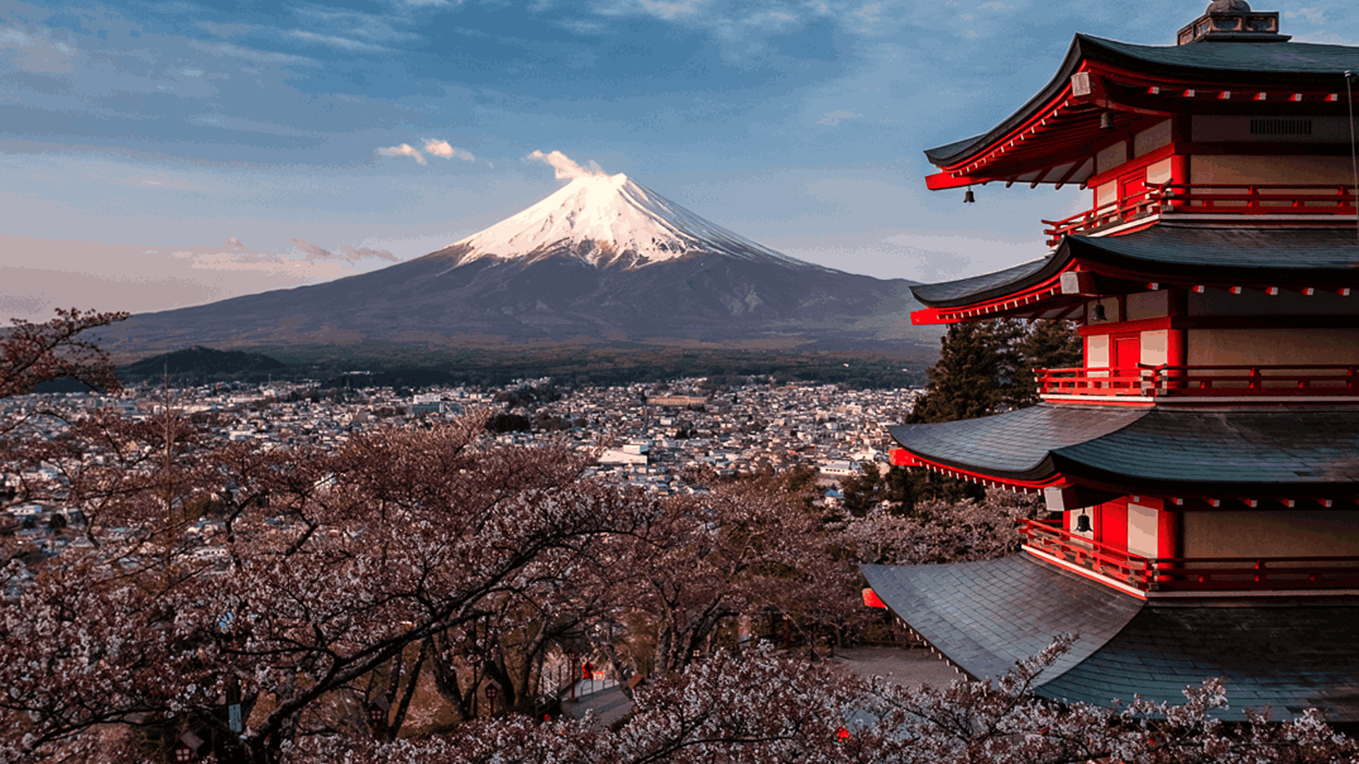 Access Financial: EoR in Japan