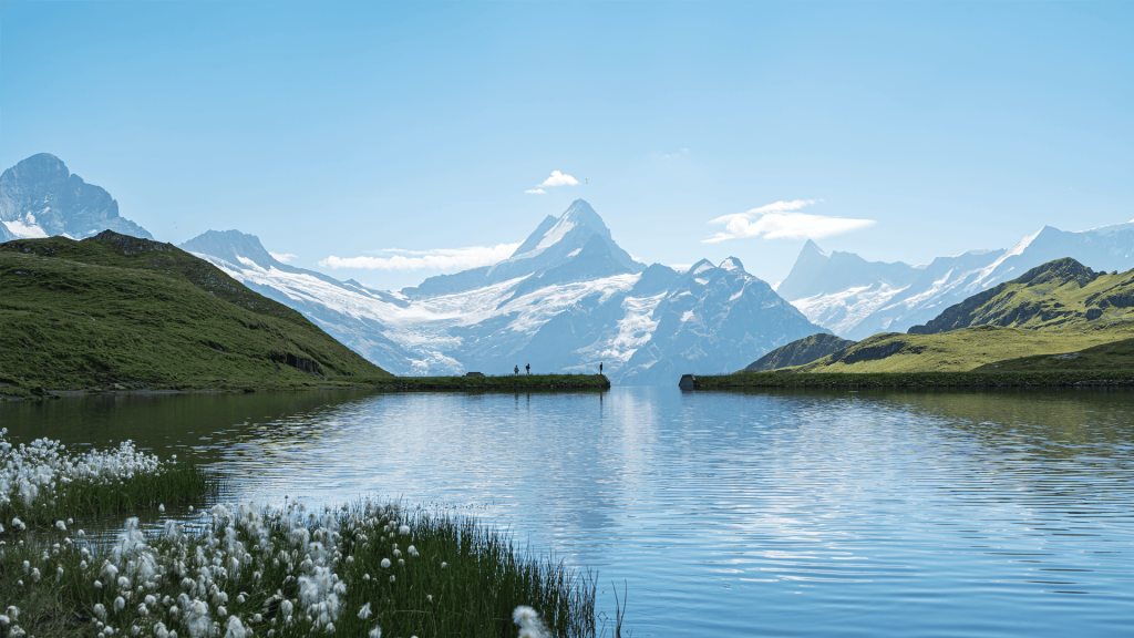 Access Financial: SECO Compliance