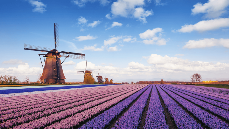 Access Financial: WAADI Nederland